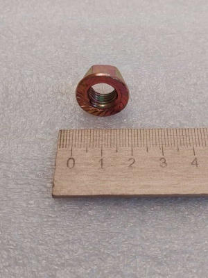 photo_5474603454694554733_y