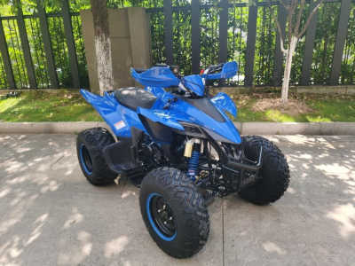 kvadrocikl-atv-sporty-250-250-16