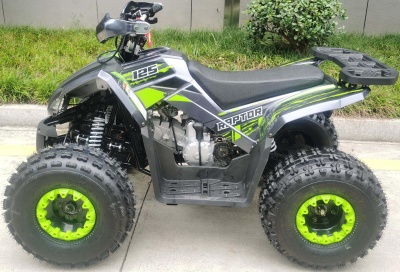 Raptor 125 green 2