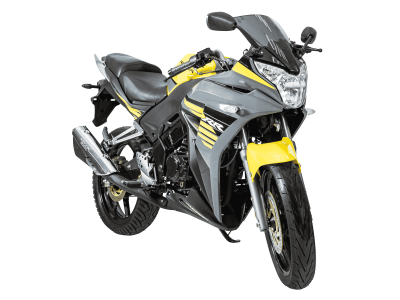 Racer-Skyway-RC300CS-_2_