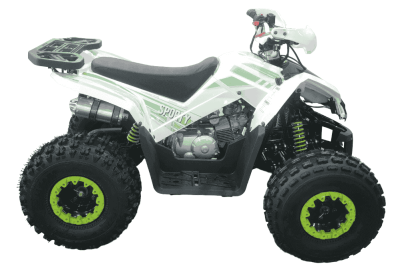 kvadroczikl-(atv)-seriya-4-sporty-(4)