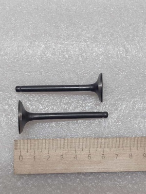 photo_5199884208137437565_y