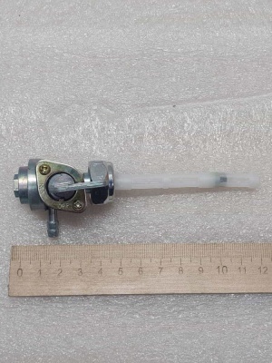 photo_5197551177607282362_y