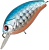 vobler_tsuyoki_agent_36f_4_4_g_1009_b