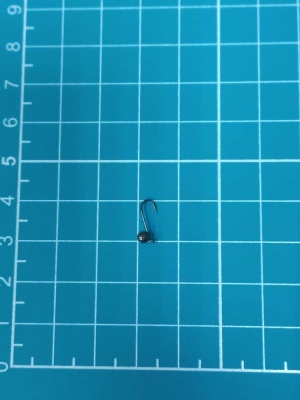 photo_1_2025-11-03_16-22-44