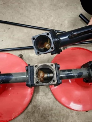 WhatsApp Image 2025-04-03 at 23.11.16