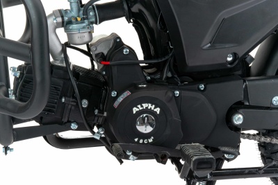 large-01-3d-4000-2