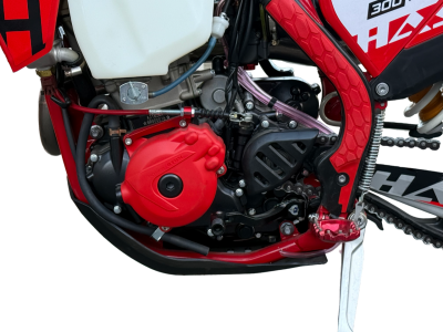 IMG_2429-edited-free (carve.photos) (1)